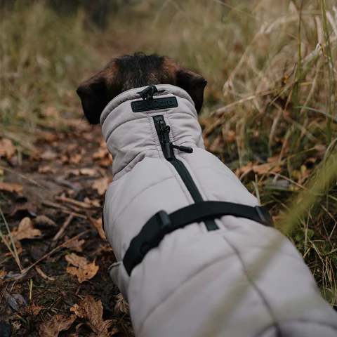 Cosima Luxury Dog Winter Coat - MiaCara Innovative Design