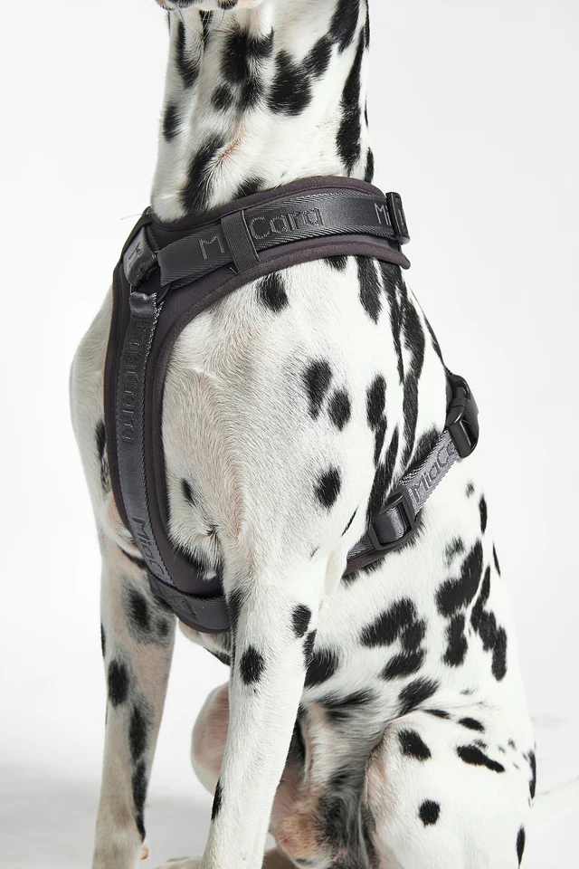Modena Luxury Dog Harness - MiaCara Innovative Design