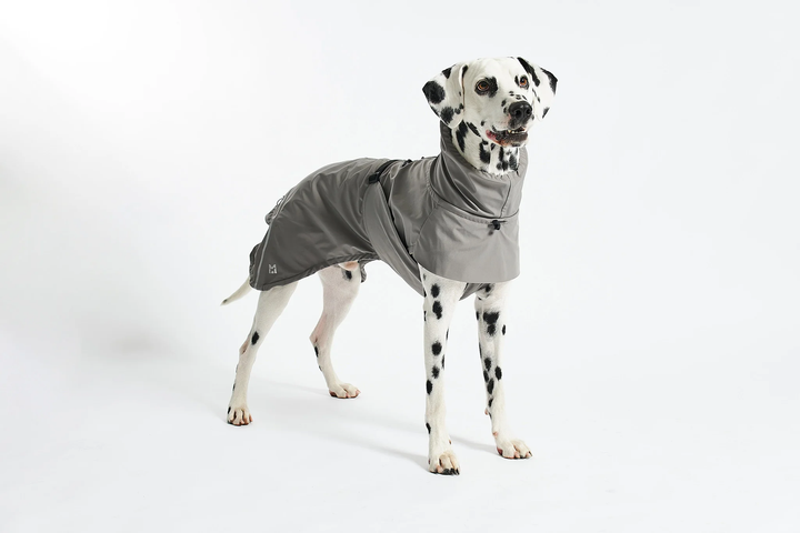 Valentina Luxury Dog Raincoat - MiaCara Innovative Design