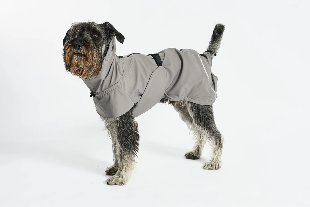 Valentina Luxury Dog Raincoat - MiaCara Innovative Design
