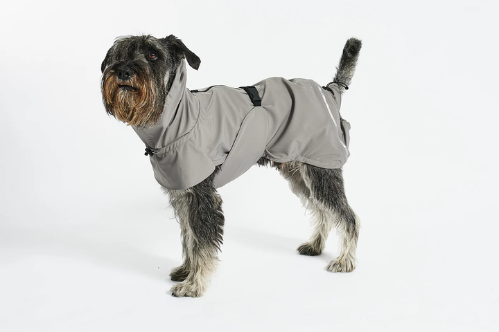 Valentina Luxury Dog Raincoat - MiaCara Innovative Design