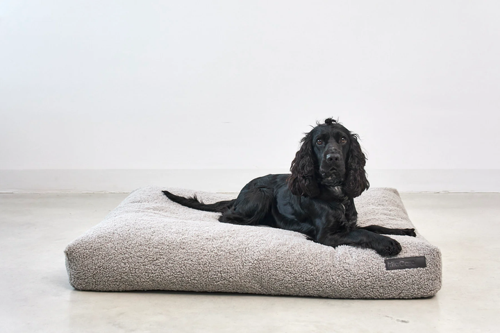 Senso Dog Luxury Cushion - MiaCara Innovative Desing