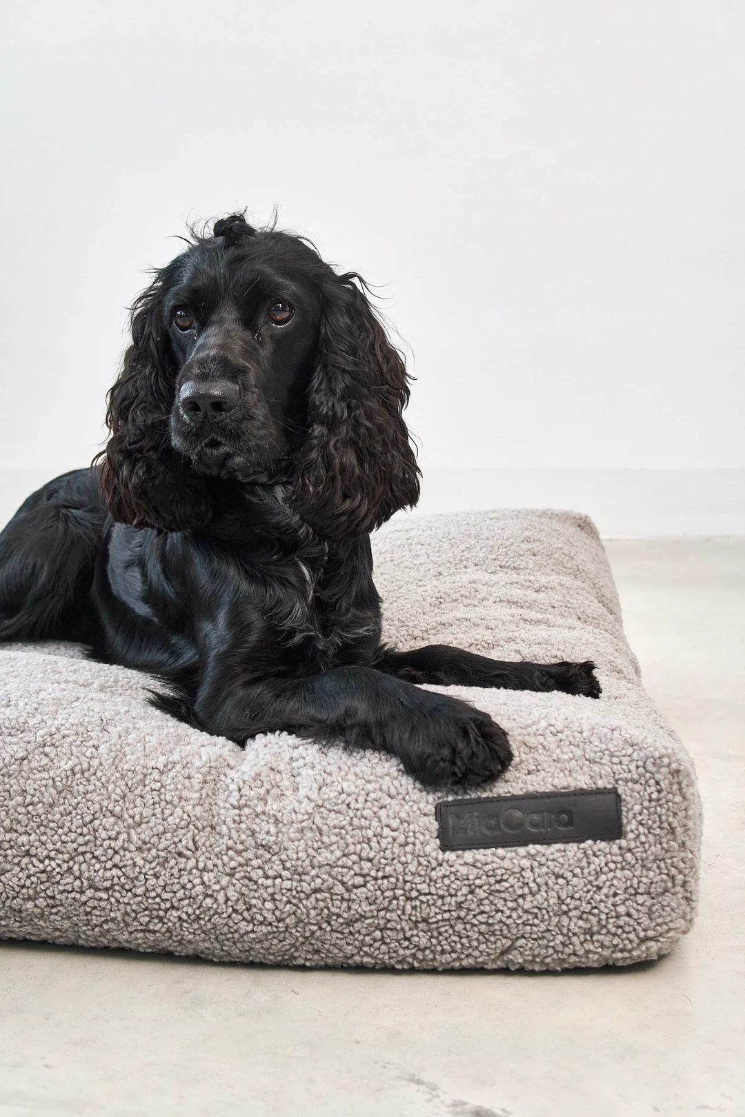 Senso Dog Luxury Cushion - MiaCara Innovative Desing
