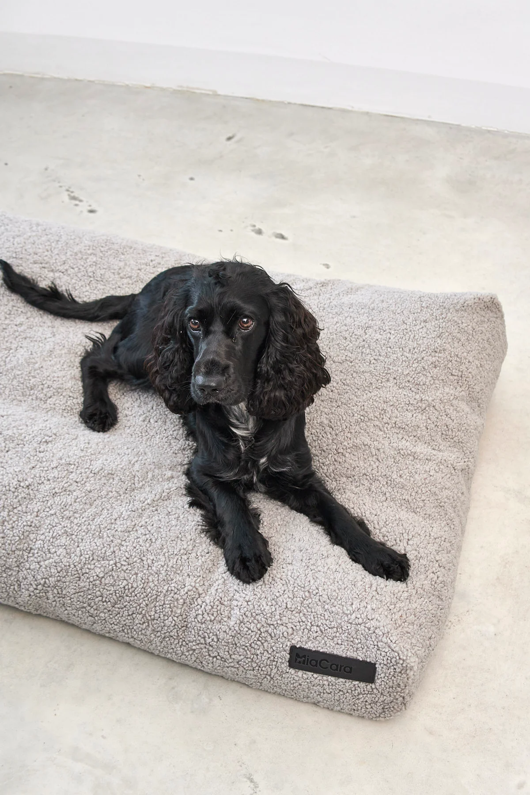 Senso Dog Luxury Cushion - MiaCara Innovative Desing