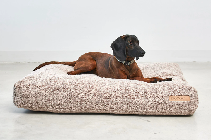 Senso Dog Luxury Cushion - MiaCara Innovative Desing