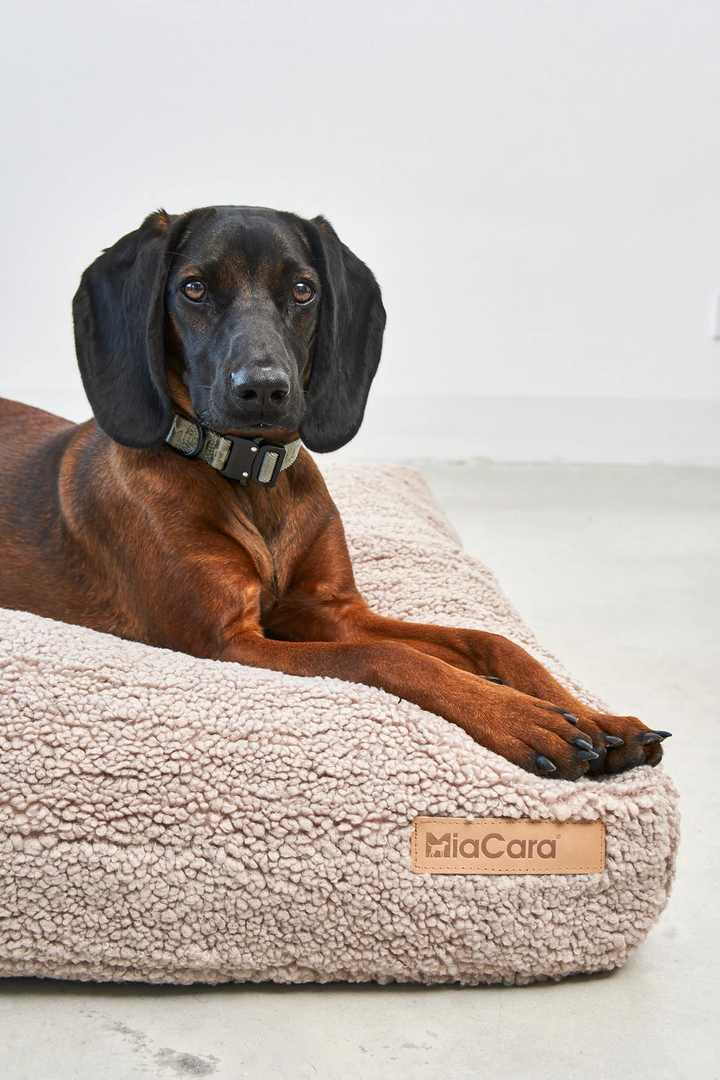 Senso Dog Luxury Cushion - MiaCara Innovative Desing