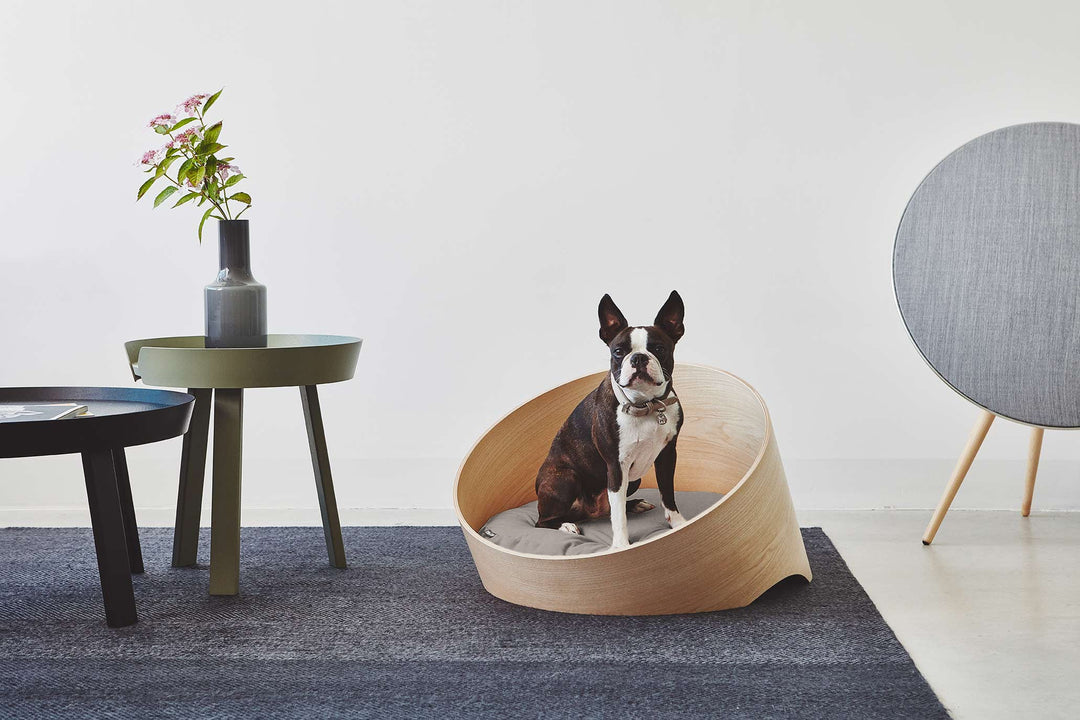 Covo Dog Basket Luxury Pet Bed | MiaCara Innovative Design