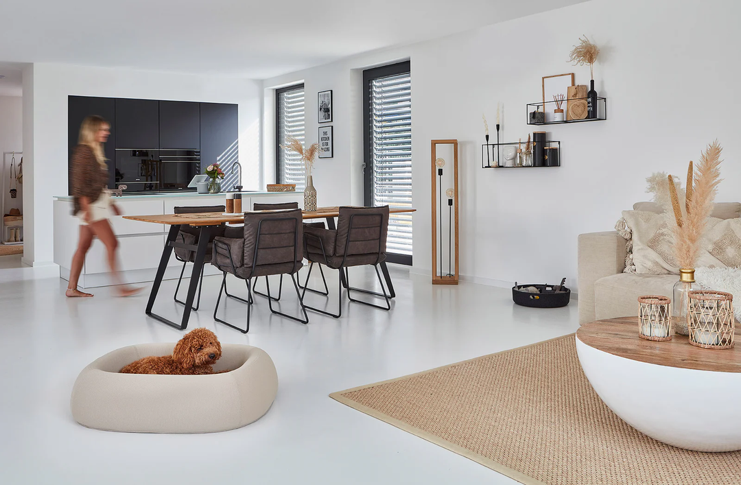 Barca Dog Bed - MiaCara Innovative Design