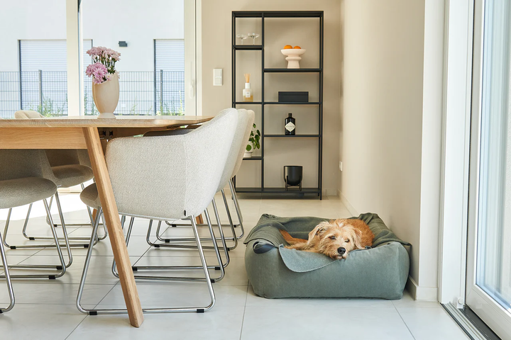 Unica Luxury Dog Blanket - MiaCara Innovative Design
