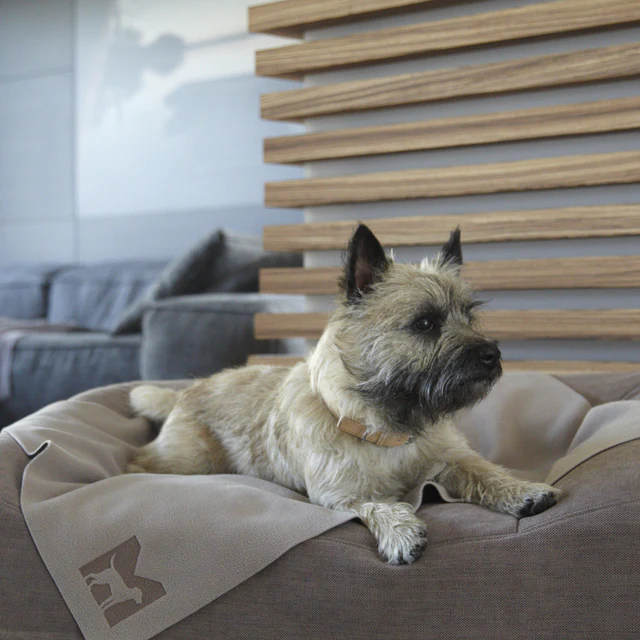 Coperta Luxury Dog Blanket - MiaCara Innovative Design