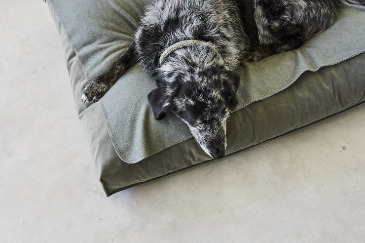 Unica Luxury Dog Blanket - MiaCara Innovative Design