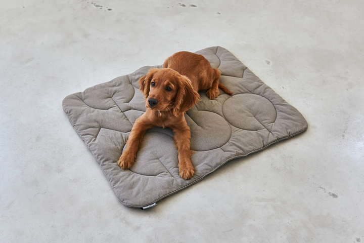 Linea Luxury Quilted Dog Blanket - MiaCara Innovative Design