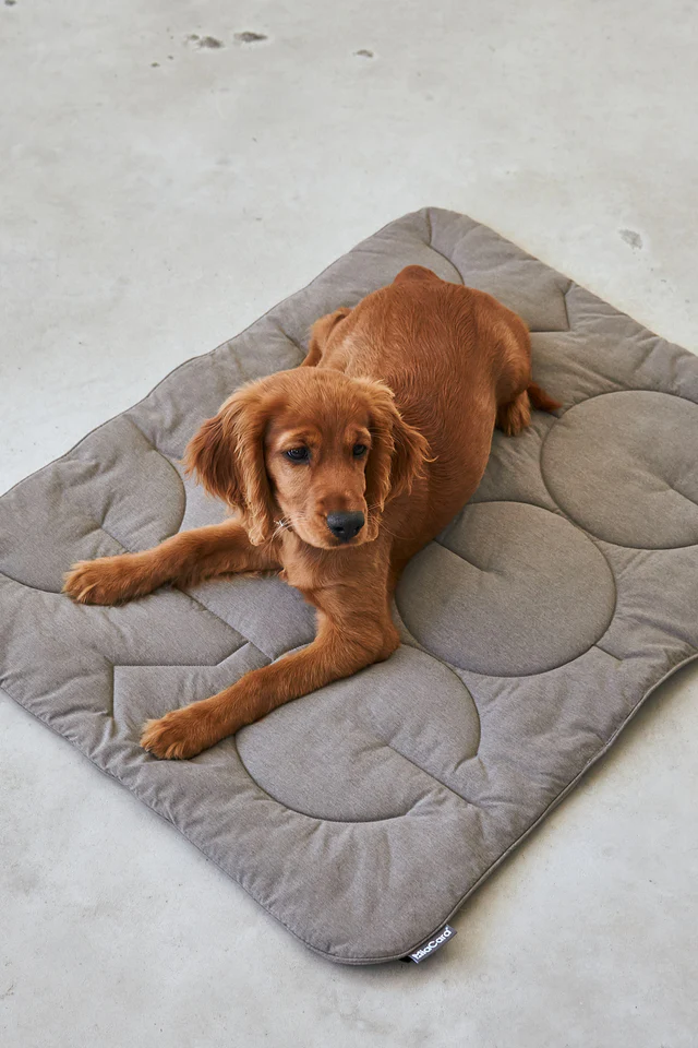 Linea Luxury Quilted Dog Blanket - MiaCara Innovative Design