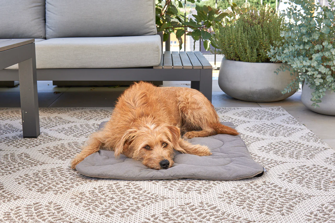 Linea Luxury Quilted Dog Blanket - MiaCara Innovative Design