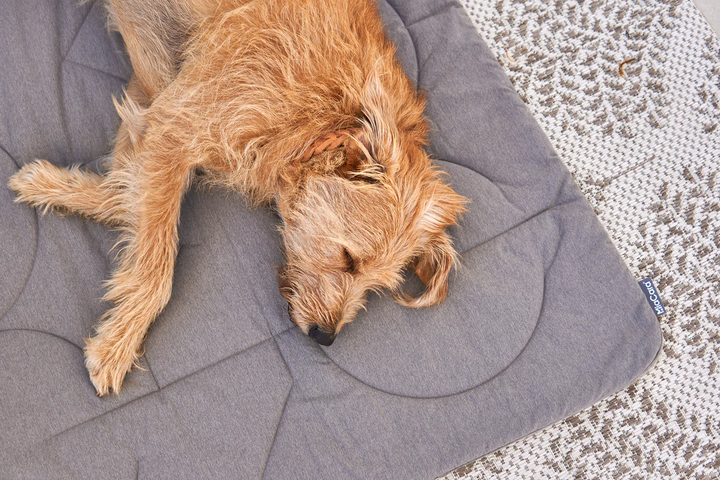 Linea Luxury Quilted Dog Blanket - MiaCara Innovative Design