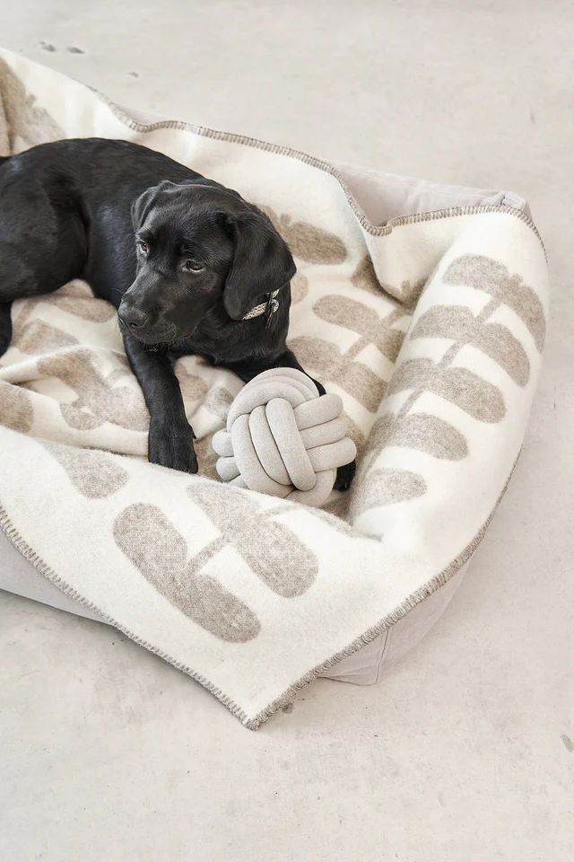 Flora Luxury Dog Blanket 100% Wool - MiaCara Innovative Design