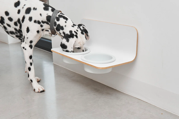 Arco Raised Dog Bowls - MiaCara Innovative Design