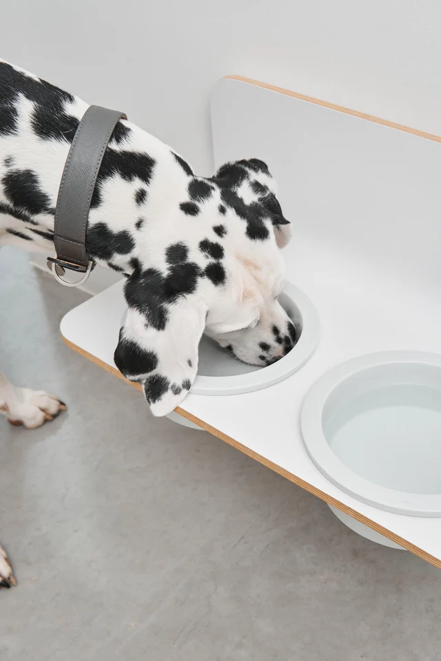 Arco Raised Dog Bowls - MiaCara Innovative Design