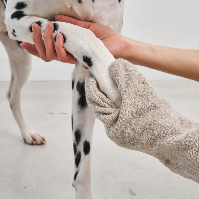Guanto Dog Dry Glove - MiaCara Innovative Design