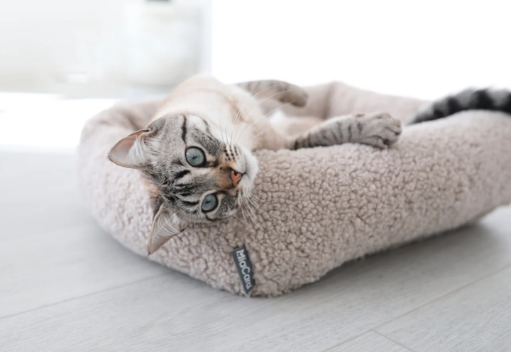 Senso Luxury Cat Bed - MiaCara Innovative Design
