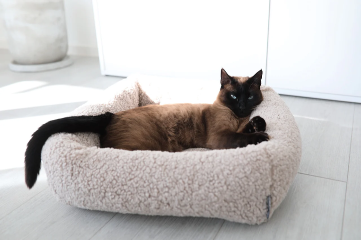 Senso Luxury Cat Bed - MiaCara Innovative Design