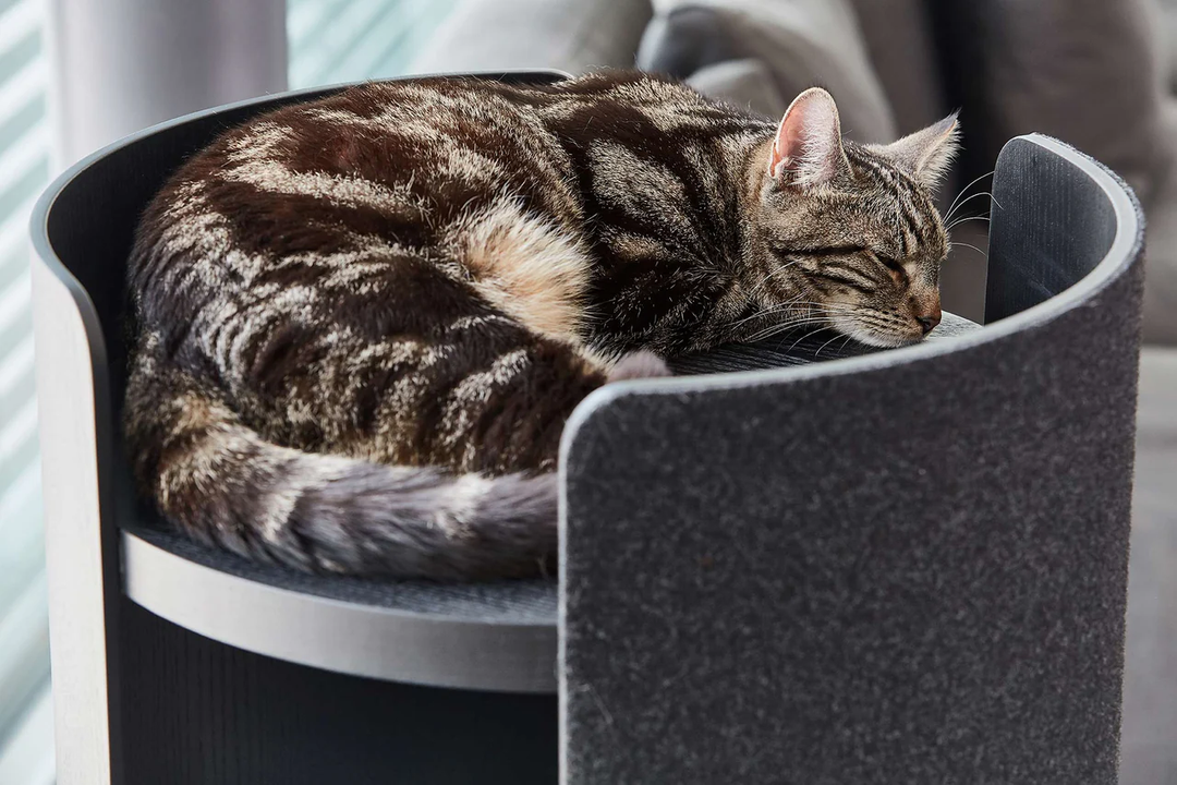 Torre Minimalist Cat Scratching Post - MiaCara Innovative Design