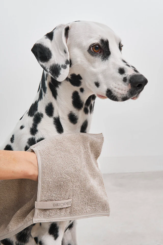 Mano Luxury Dog Dry Towel - MiaCara Innovative Design