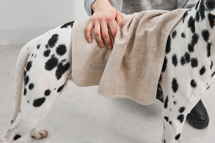 Secco Dog Dry Towel - MiaCara Innovative Design