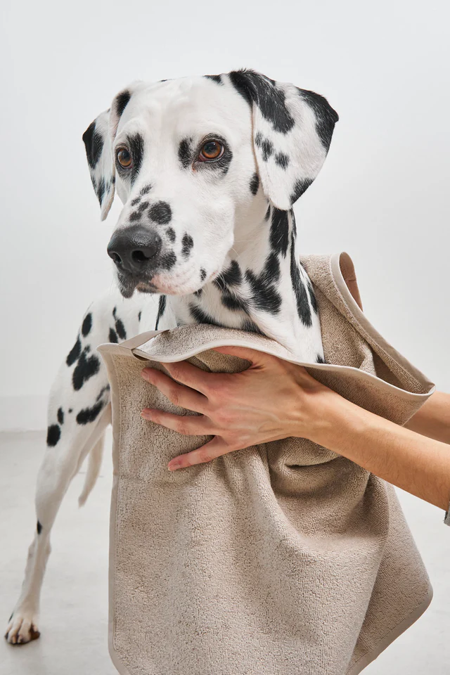 Secco Dog Dry Towel - MiaCara Innovative Design