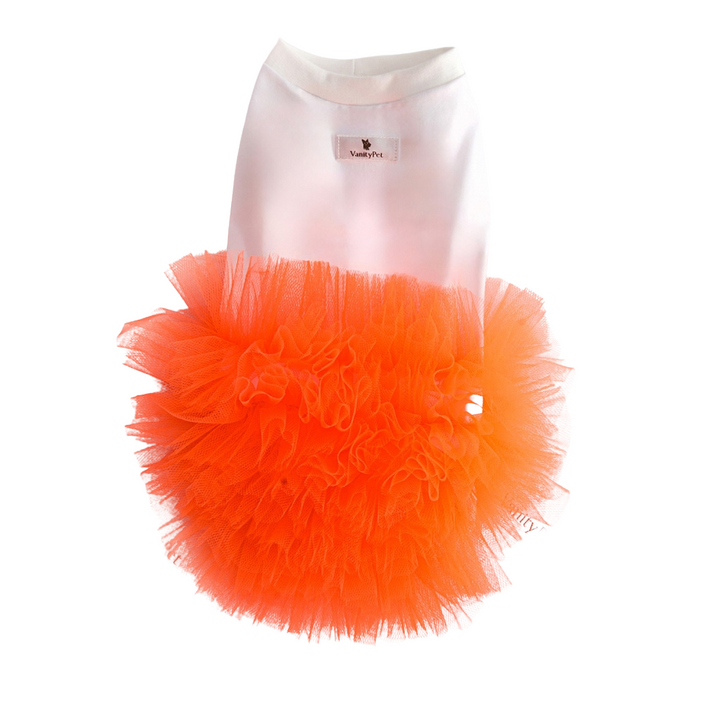 Miss Vanity Stylish Dress For Female Dog | Vanity Pet
