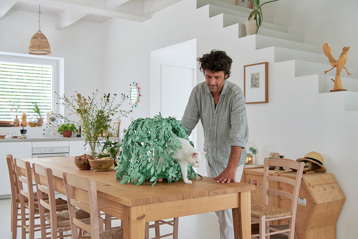 Cat Bush Busk Design Kennel for Cats | United Pets Milano