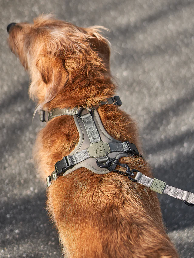 Modena Luxury Dog Harness - MiaCara Innovative Design