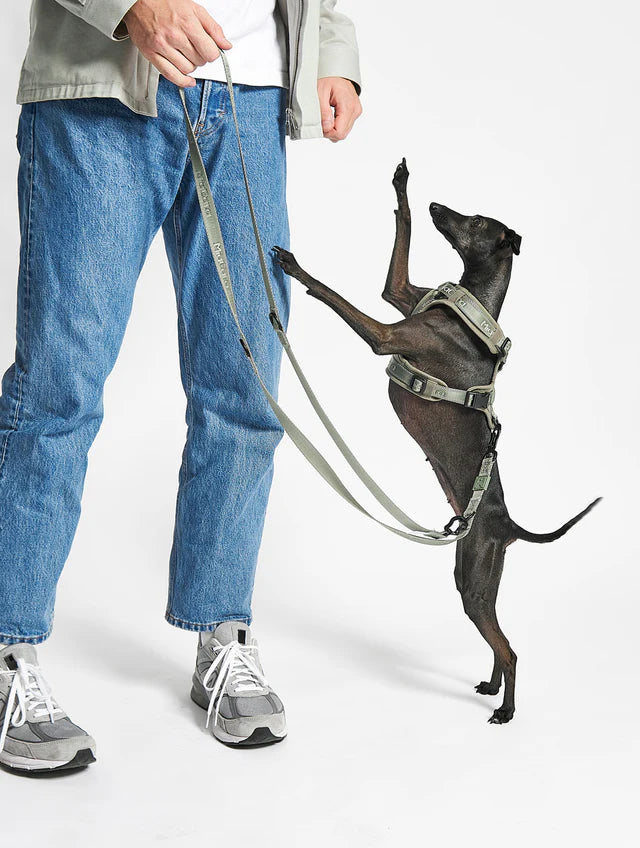 Modena Luxury Dog Harness - MiaCara Innovative Design