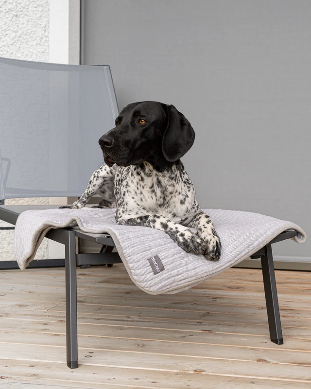 Onda Luxury Dog Knitted Blanket - MiaCara Innovative Design