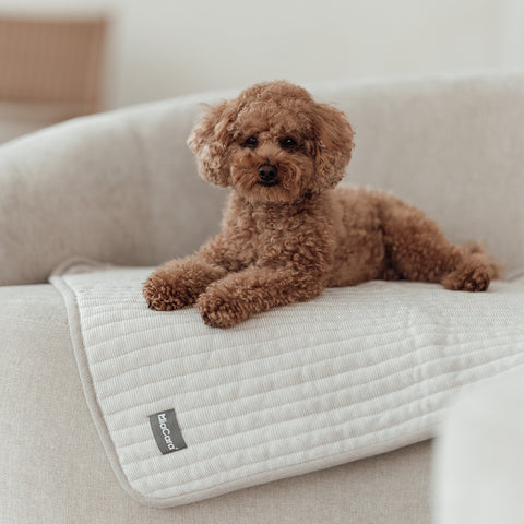 Onda Luxury Dog Knitted Blanket - MiaCara Innovative Design