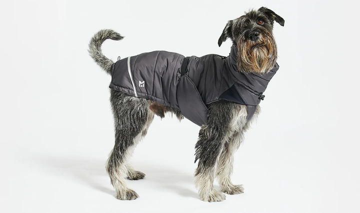 Cosima Luxury Dog Winter Coat - MiaCara Innovative Design