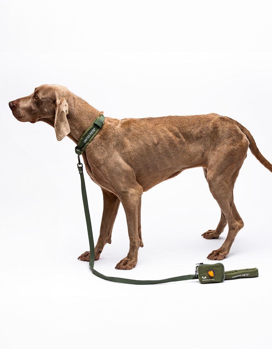 Citylife Collare Soft Eco-Friendly | United Pets Milano