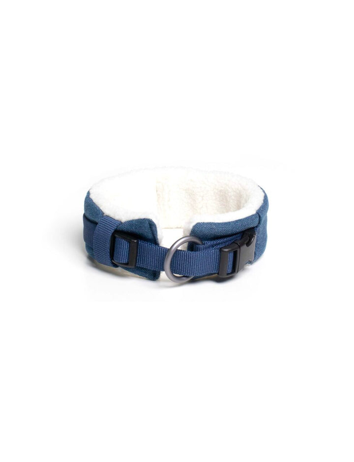 Citylife Eco Padded Dog Collar | United Pets