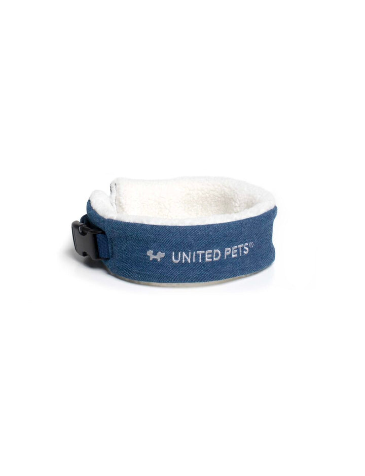Citylife Eco Padded Dog Collar | United Pets