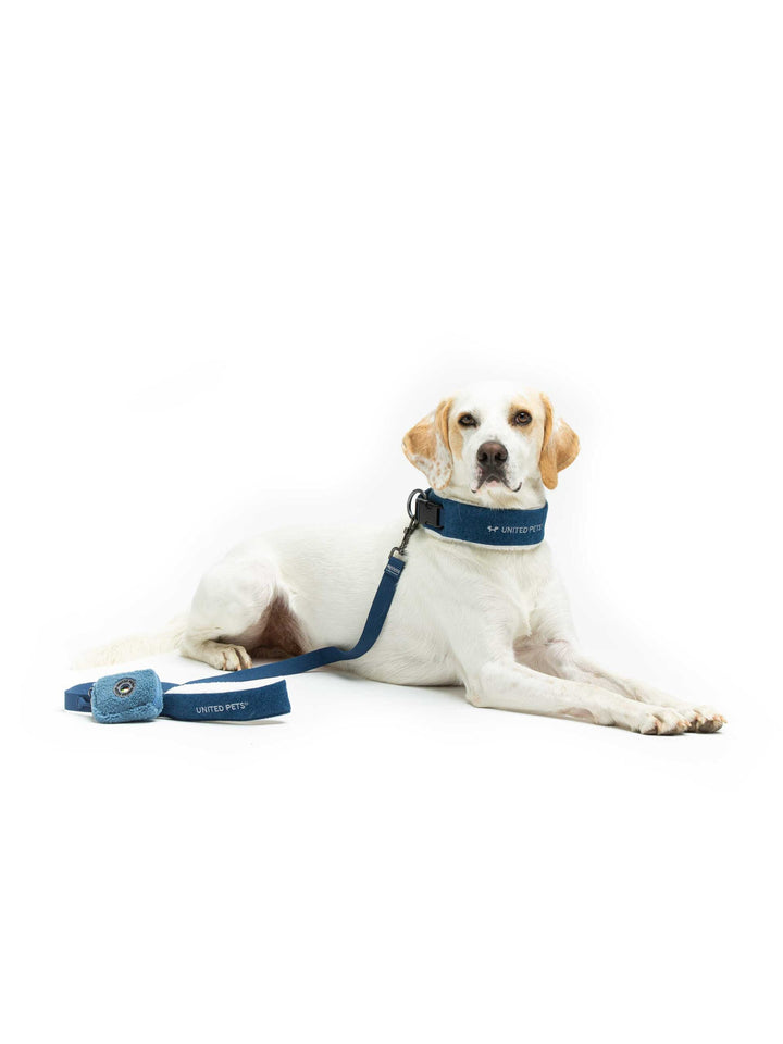 Citylife Eco Leash with Padded Handle by United Pets | Durable Comfort