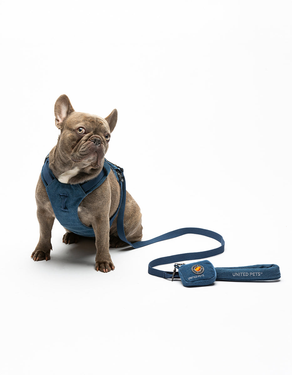 Soft H‑Shaped Bib – Citylife | Comfortable Dog Harness by United Pets