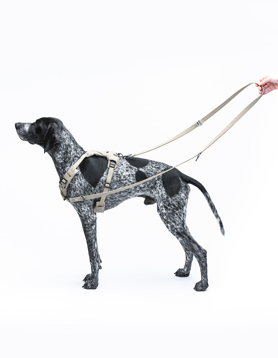 Soft H‑Shaped Bib – Citylife | Comfortable Dog Harness by United Pets