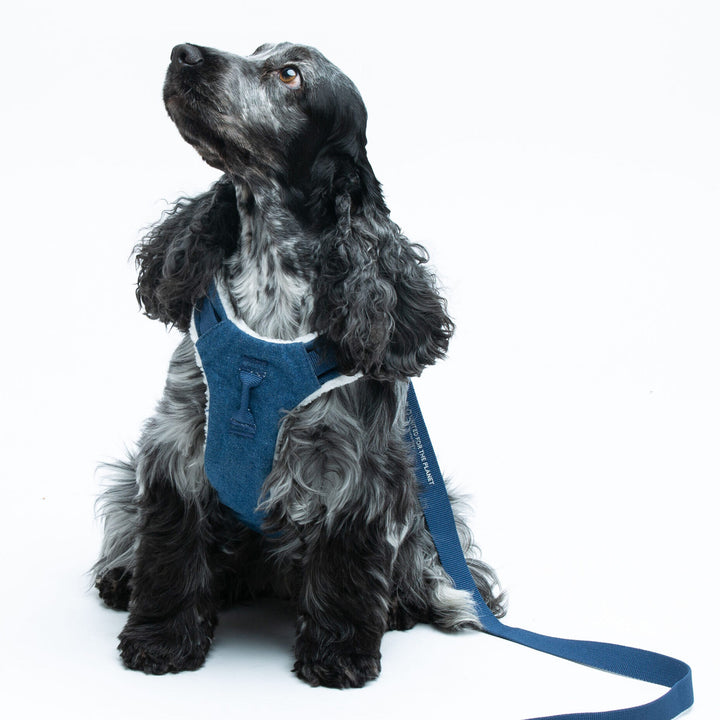 Citylife Eco Leash with Padded Handle by United Pets | Durable Comfort