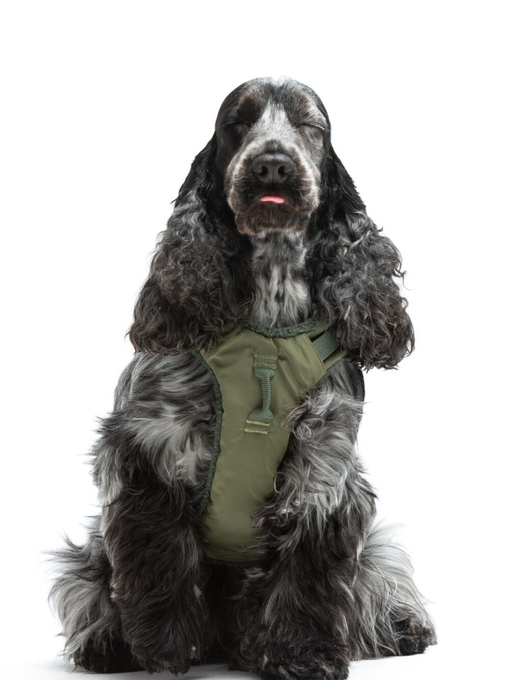 Citylife Soft Plush Dog Harness Green by United Pets | Stylish Comfort