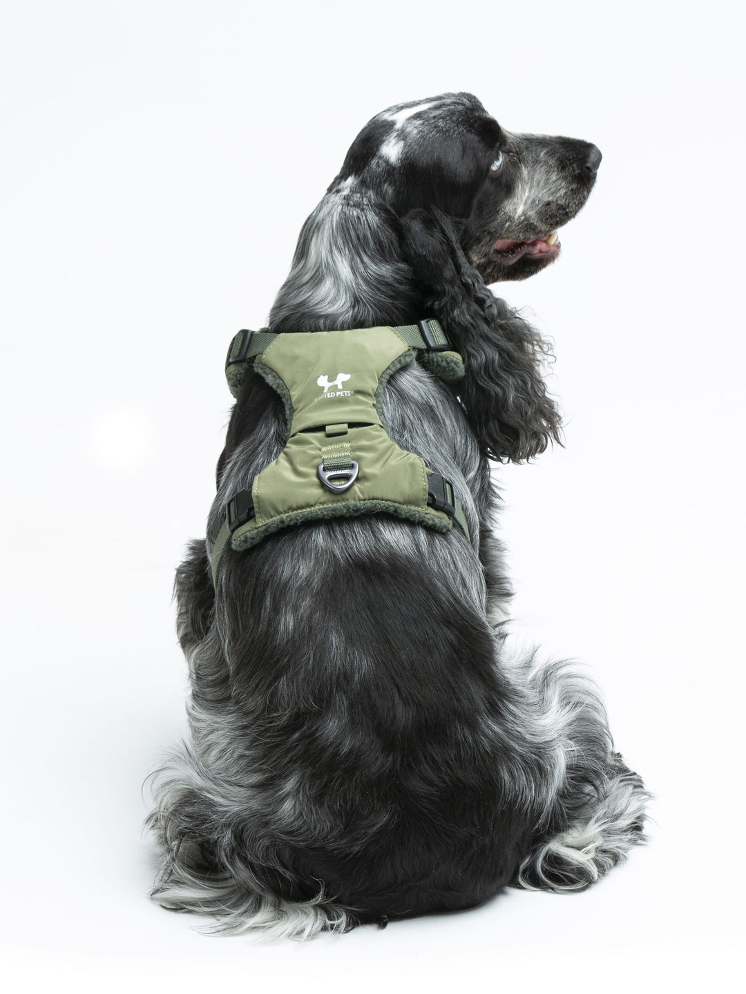 Citylife Soft Plush Dog Harness Green by United Pets | Stylish Comfort