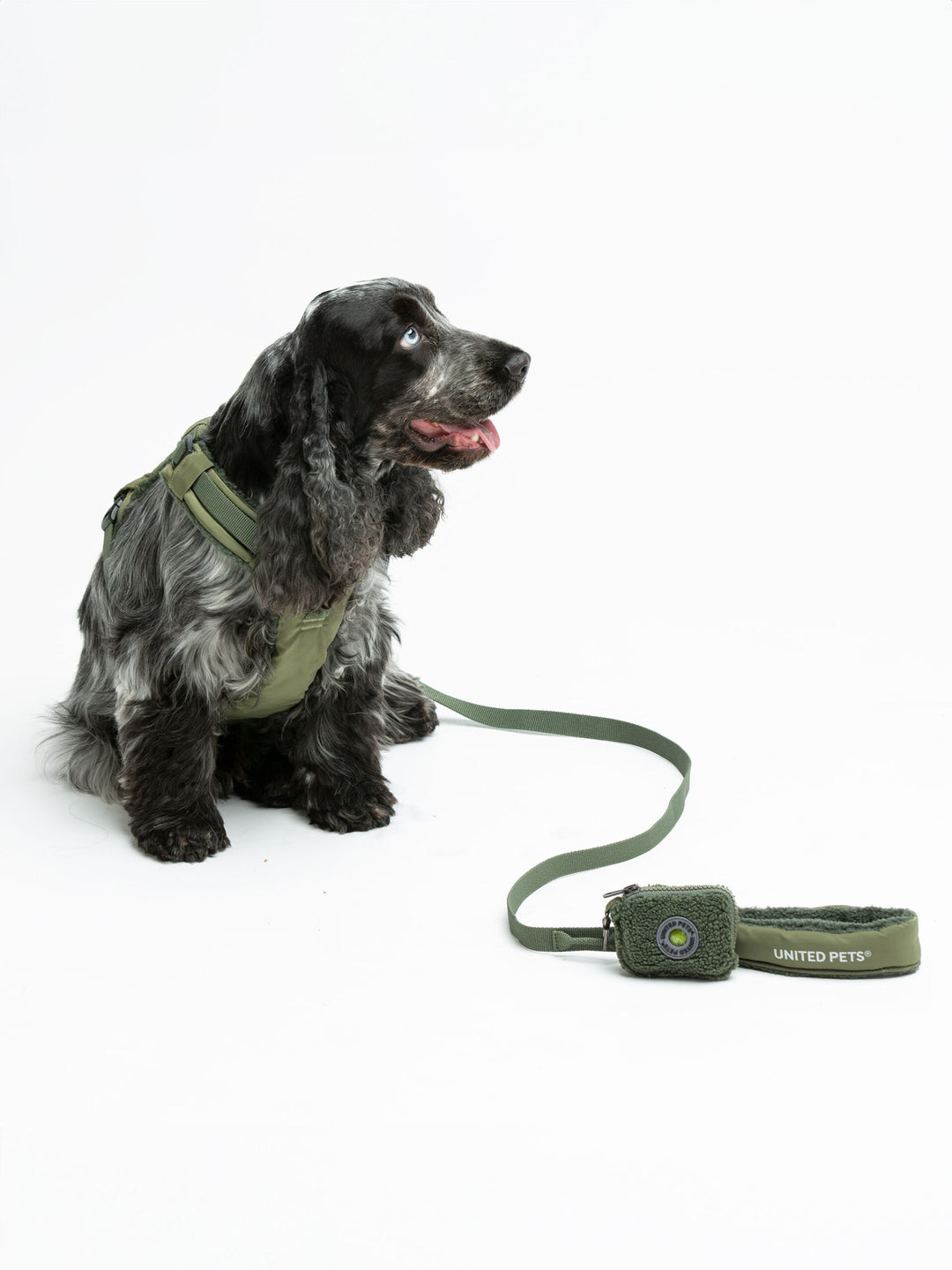 Citylife Soft Plush Dog Harness Green by United Pets | Stylish Comfort