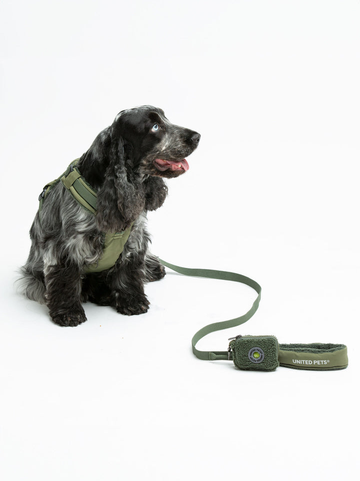 Citylife Soft Plush Dog Harness Green by United Pets | Stylish Comfort