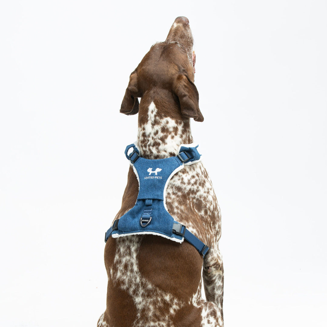Citylife Soft Jeans Dog Harness by United Pets | Stylish & Comfortable