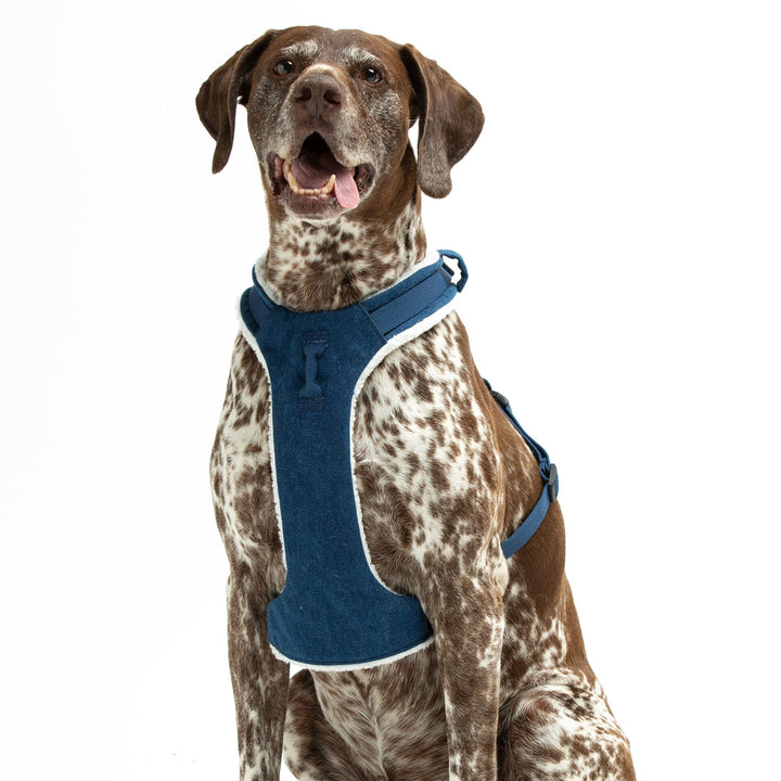 Citylife Soft Jeans Dog Harness by United Pets | Stylish & Comfortable