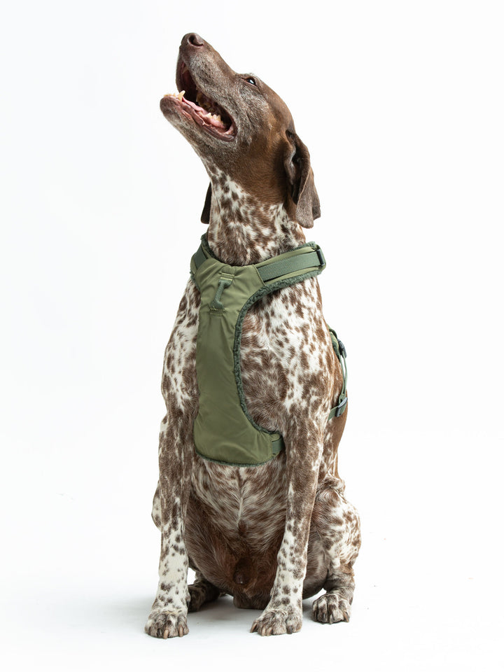 Citylife Soft Plush Dog Harness Green by United Pets | Stylish Comfort